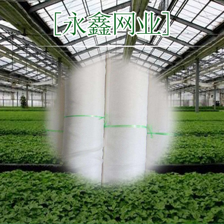 20 mesh twisted silk insect-proof net greenhouse gauze flower vineyard fruit and vegetable bird-proof net cover agricultural plastic insect-proof net cover