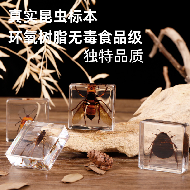 Strength Factory Customized Real Insect Specimen Children's Research Toys Crystal Glue Drops Resin Ornaments Spider Scorpion