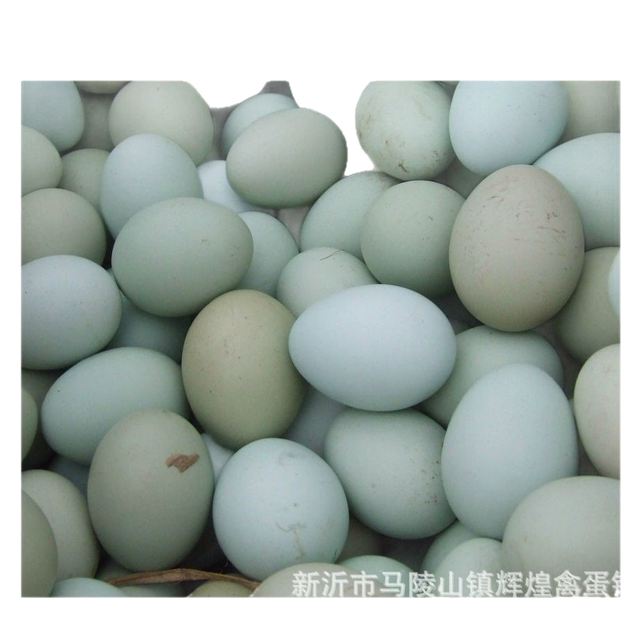 Wholesale Fresh First-Laid Eggs, Green-Shelled Eggs, First-Laid Eggs, Open-Laid Eggs, Green-Shelled Black Eggs, Open-Laid Eggs, Small Size