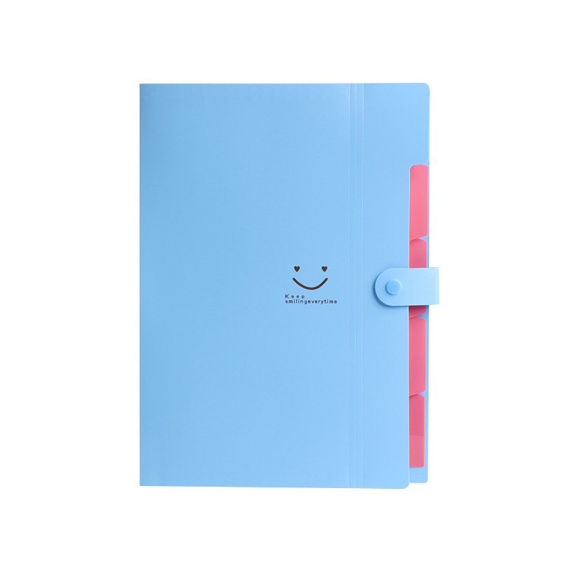 Multi-Layer A4 Accordion Bag Test Paper Storage Bag Information Folder Customized Student Office Special Cartoon Large Capacity