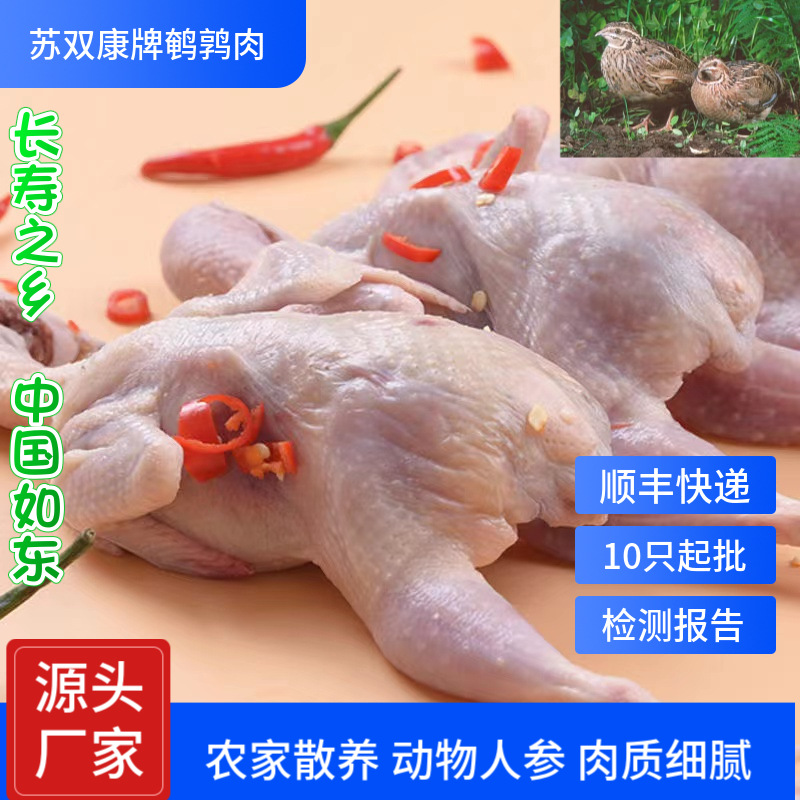 Su Shuangkang ® Chilled Extra Large White-Striped Quail Frozen Meat, Live Killing Quail, Bloodletting, Quick-Frozen Female Quail Meat