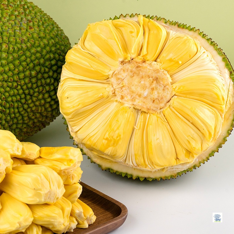 Hainan Yellow-Fleshed Jackfruit, Whole Fresh Fruit, Free Shipping, Whole Box of Jackfruit