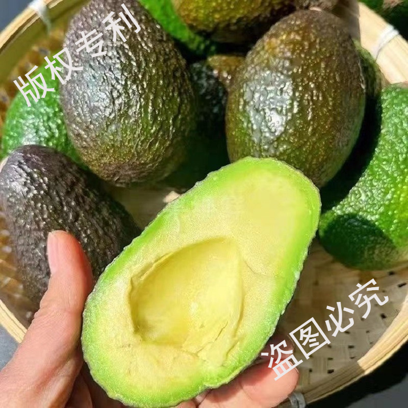 Peruvian Hass Avocados 10 Fresh Fruits Seasonal Whole Box Free Shipping First-Class Avocado Imported Food Supplement Cream