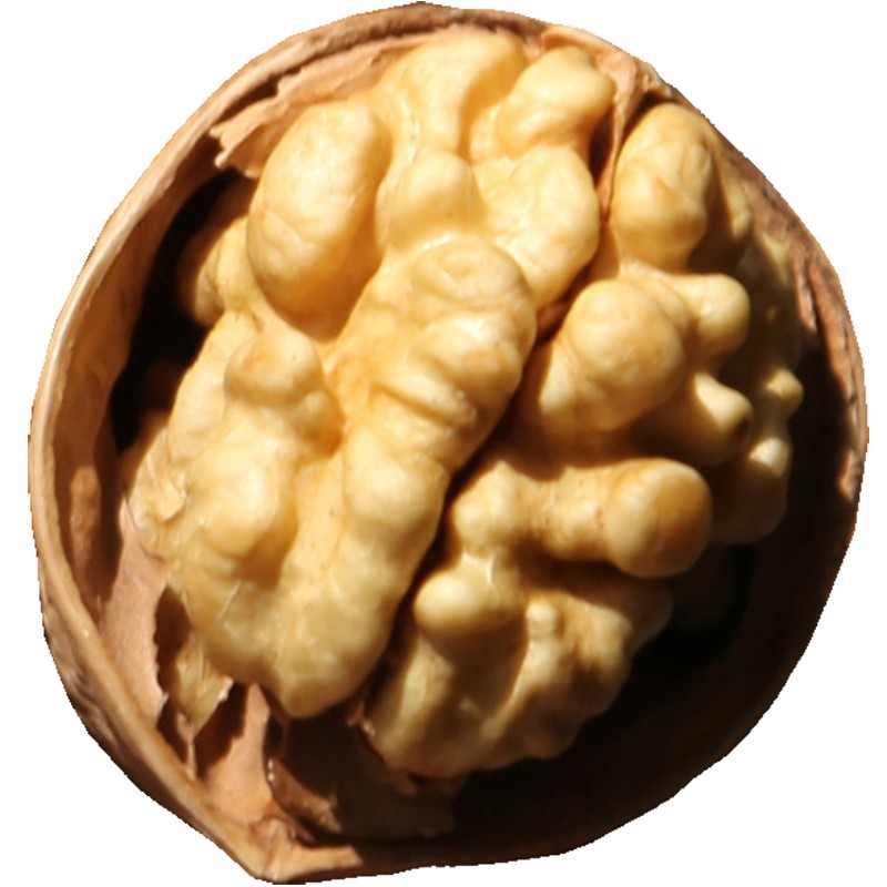 Xinjiang Aksu Wen 185 Paper-Skinned Walnuts Xinjiang Specialty Thin-Skinned Thin-Shell Fresh Large Walnuts for Pregnant Women 0.5kg New Arrivals