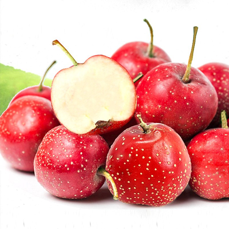 New Variety of Seedless Hawthorn Grafted Seedlings, Super Sweet Large Fruit Hawthorn Saplings, Hawthorn Seedlings Planted in the North and South, One Piece Dropshipping