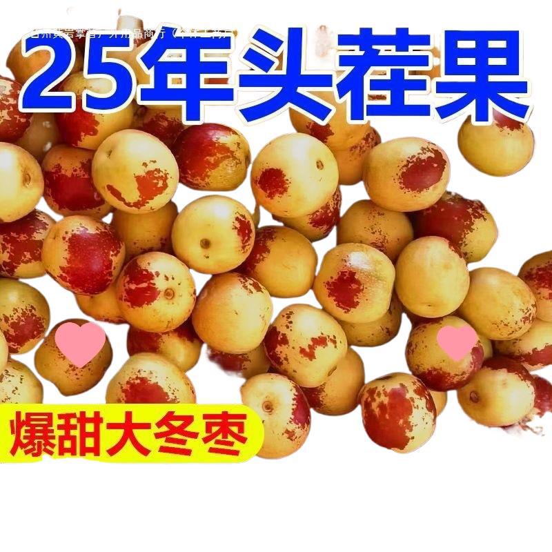Free Shipping Shaanxi Dali Winter Jujube Fresh Crispy Sweet Winter Jujube Green Jujube Fresh Jujube Fruit Wholesale for Pregnant Women Sour Jujube Quarter