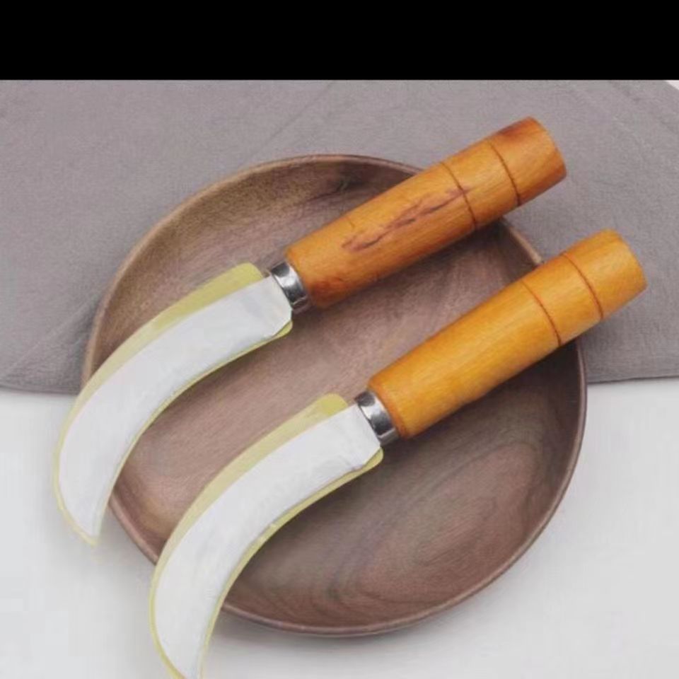 Stainless steel pineapple knife with wooden handle fruit knife peeler kitchen knife