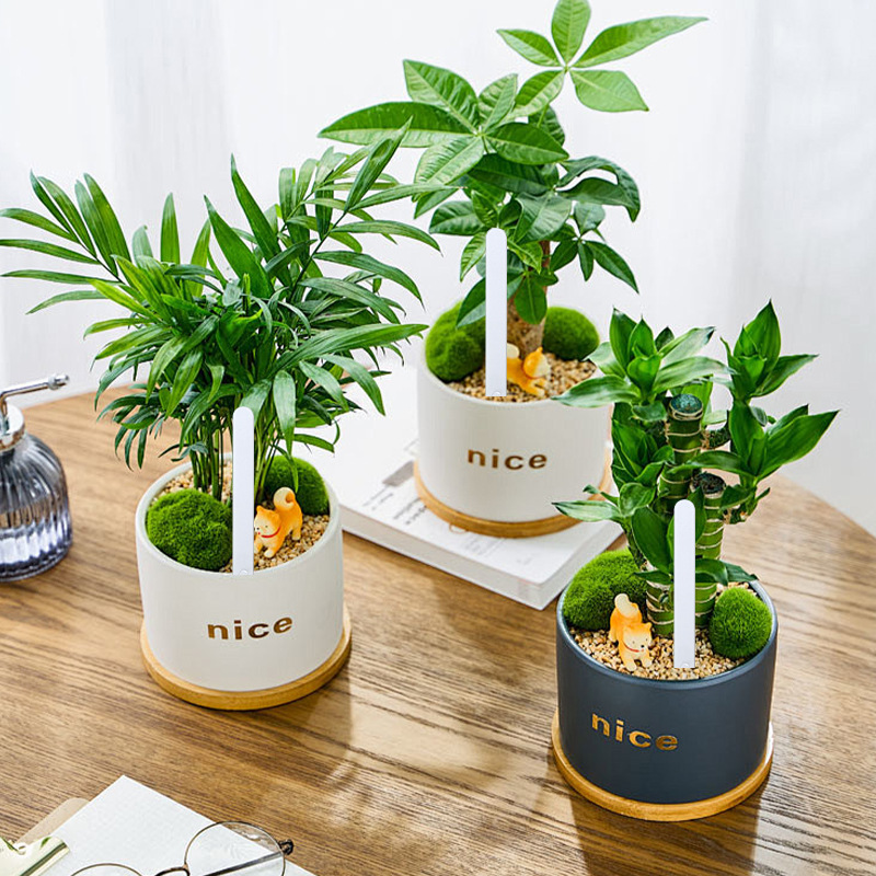 Customizable Garden Signage Waterproof Seedling Signage Orchid Plant Flower Signage Label Ring