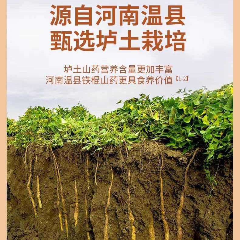 Keyikang Iron Stick Yam Powder Huaihuai Yam Powder Lu Clay Iron Stick Yam Powder 20g*14 Packs/Box Official