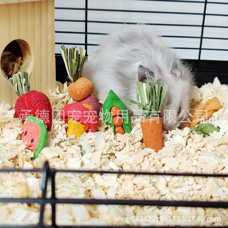 Factory hamster carrot molars small pet molars landscaping golden bear small pet molars biscuits small toy combination