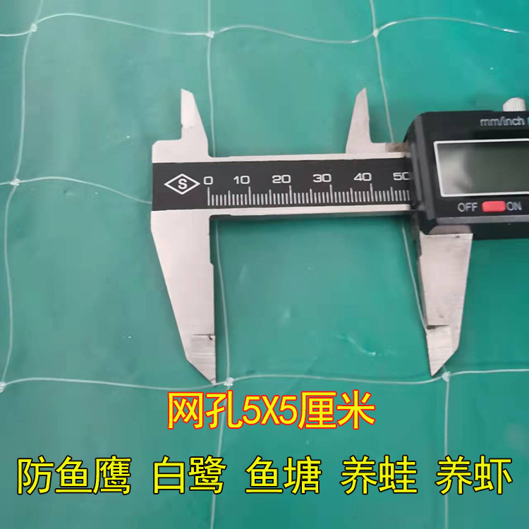 10cm mesh anti-bird net fish pond breeding frog shrimp anti-egret fish eagle Skynet Orchard anti-Big Bird Net