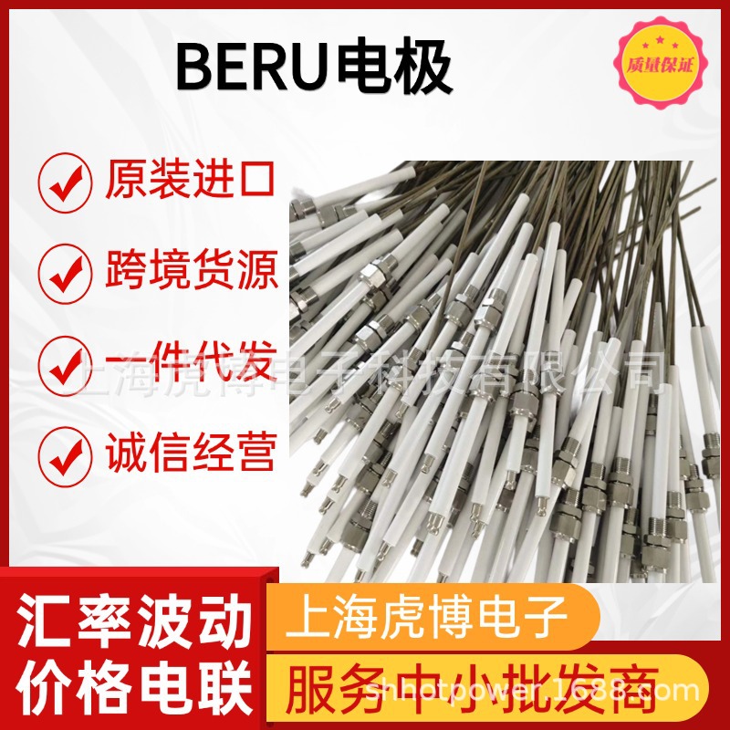 Dropshipping German Original Imported Beru Ignition Needle Beru Electrode