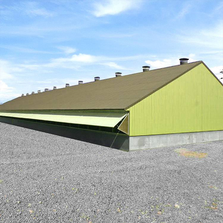 Экспорт стальных конструкций курятников, поставка от производителей Hongye, установка курятников, коровников и других домов для разведения в стране и за границей.