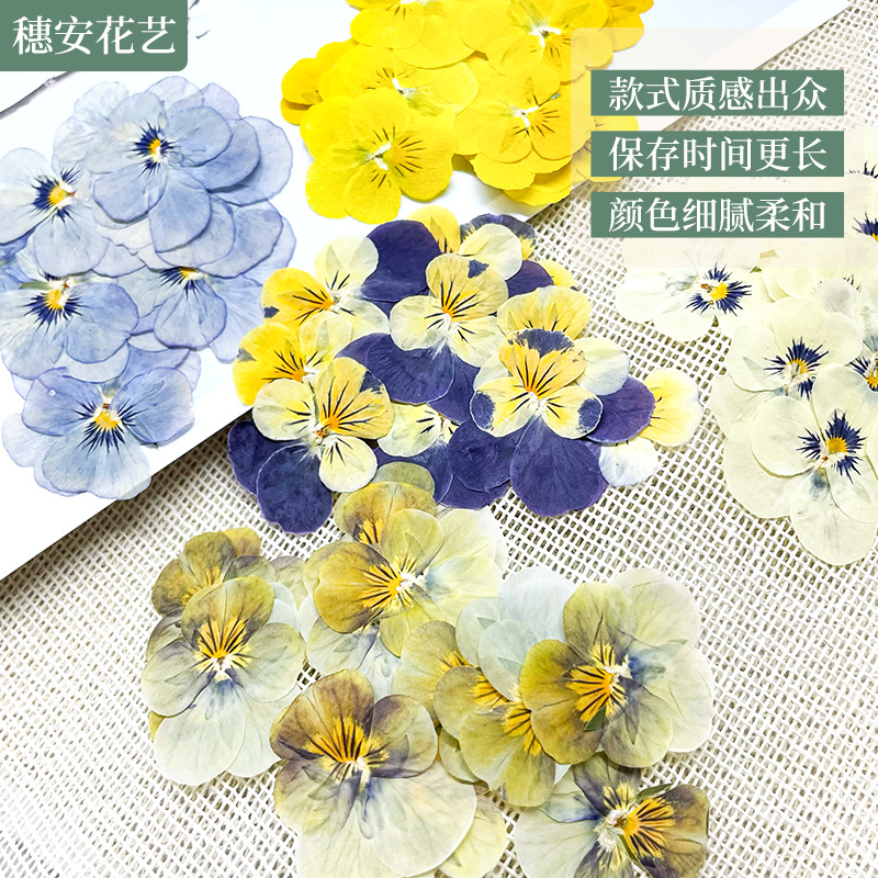 Красивые фото, лицо, тисненные цветы, ручная работа, свечи, настольные лампы, материалы DIY, натуральные цветы, тисненные цветы фиалки