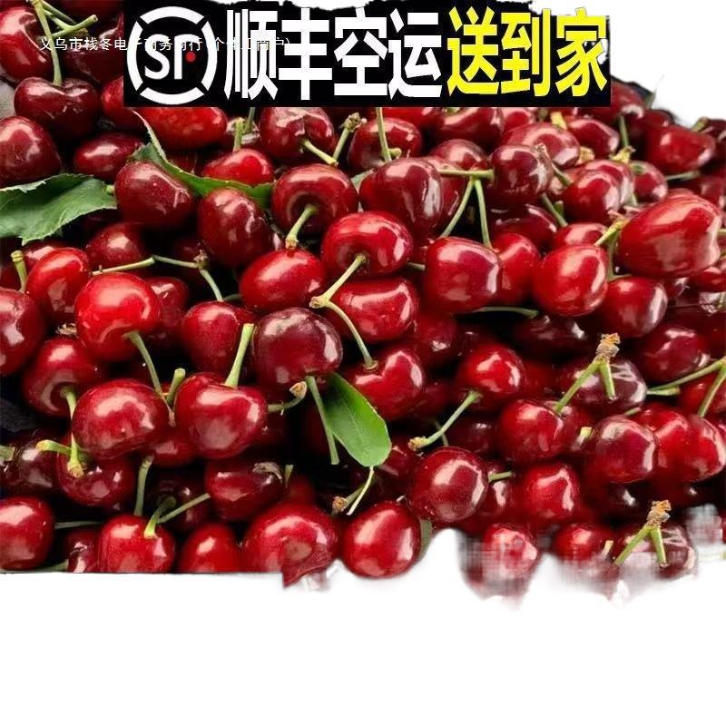 Cherry Special Large-Sized Cherry with Juicy Flesh Imported Cherry Fresh Fruit Wholesale Price