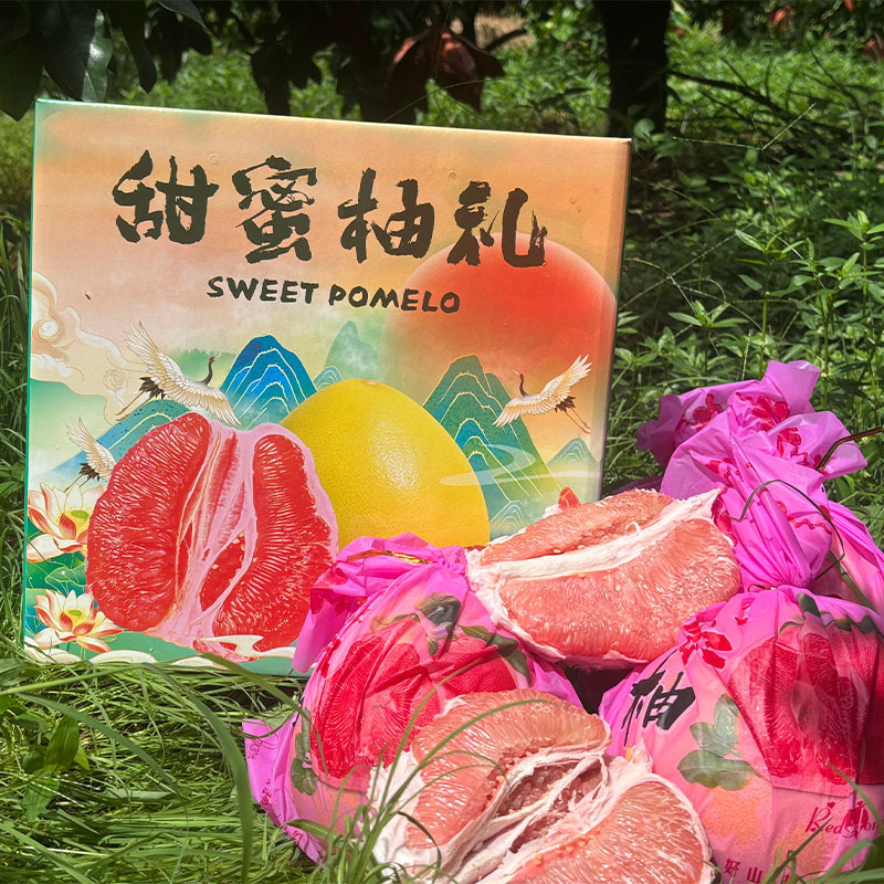 Помело Санхонг из Фуцзянь, красноплодный помело, сезонный свежий помело, свежесобранный и отправленный, целая коробка 5 фунтов, упаковка подарочной коробки