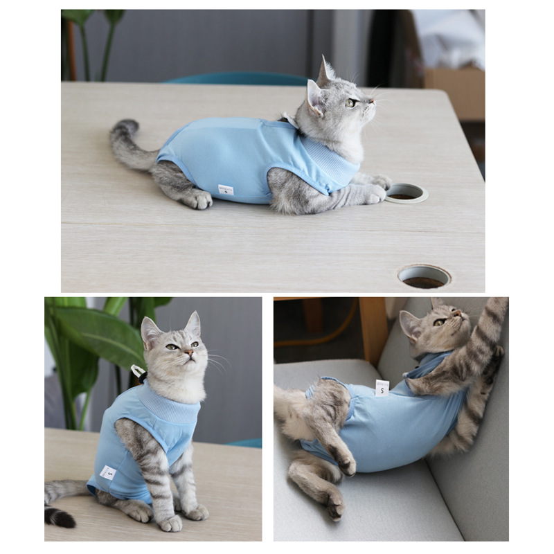 Surgical clothing pet cat sterilization clothing physiological pants postoperative recovery female cat weaning clothing anti-licking clothing anti-summer