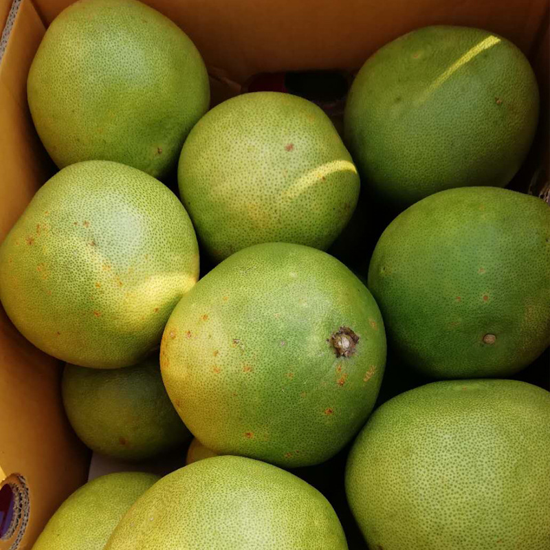Thai Green Pomelo Ampawa Imported Pomelo Honey Pomelo Green Peel White Heart Pomelo Large Fruit Crisp, Sweet and Juicy