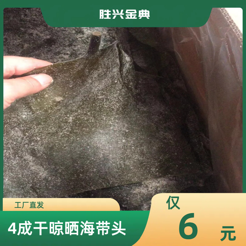 Соленые и сушеные водоросли, оптовая продажа