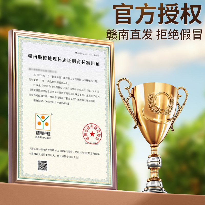 Authentic Jiangxi Gannan Navel Oranges Fresh Oranges 10kg Hand-Peeled Gift Box Ganzhou Seasonal Sweet Oranges Fruit for Pregnant Women Free Shipping