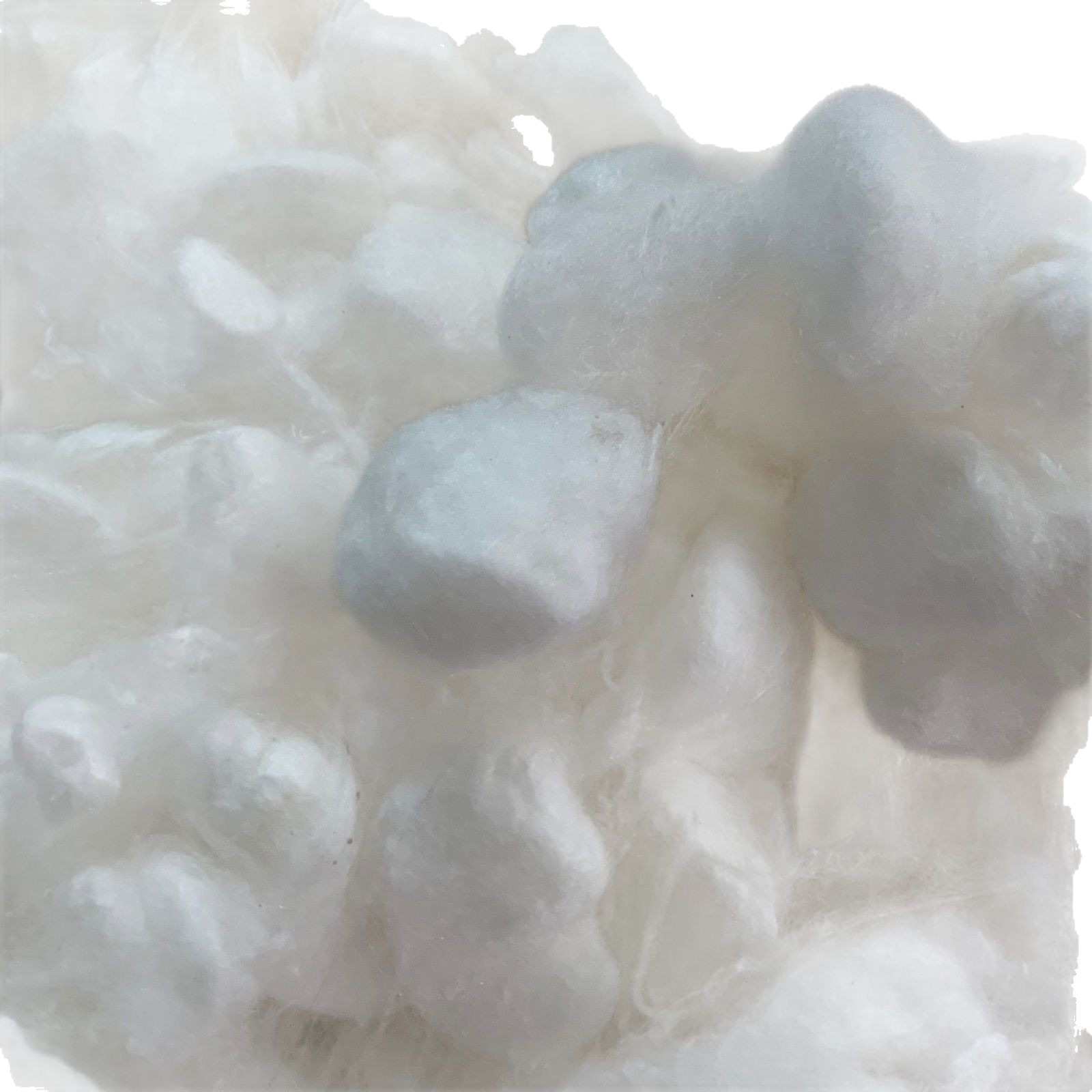 White Silkworm Cocoons from Mulberry Silk, Used for Cocoon Opening Machines and Spinning Machines, Large and Clean Raw Silk Material