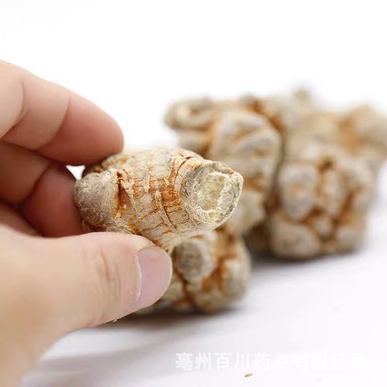 Panax Notoginseng Wholesale Wenshan Panax Notoginseng Heads 0.5kg Dry Panax Notoginseng Powder 15 Days Unconditional Refund