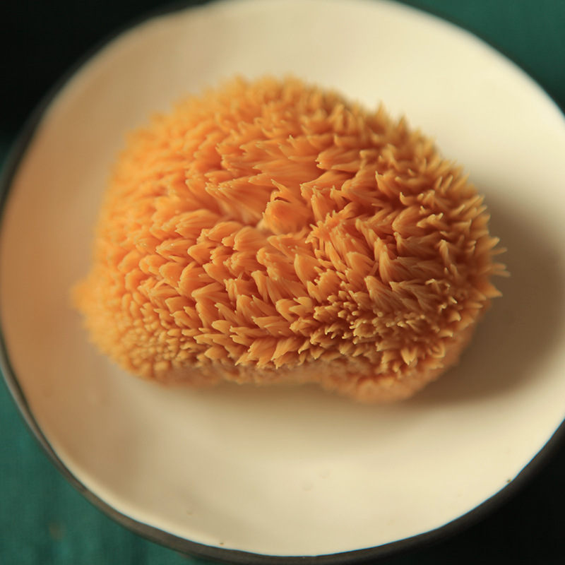 Hericium Erinaceus Manufacturer Dongning 500g Dried Mushroom Northeast Specialty Hericium Erinaceus Wholesale Bagged Fresh