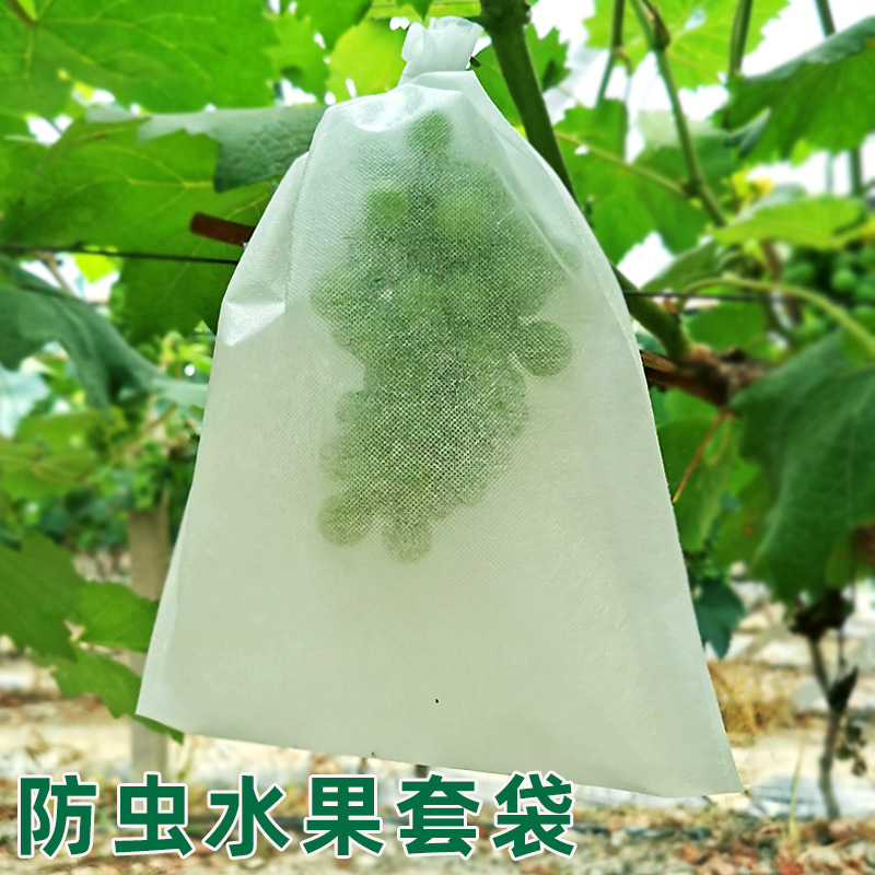 Специальный мешок для защиты фруктов: хурма, манго, виноград, саккямуни, яблоко, нейлоновый мешок, желтый персик, защитный от насекомых