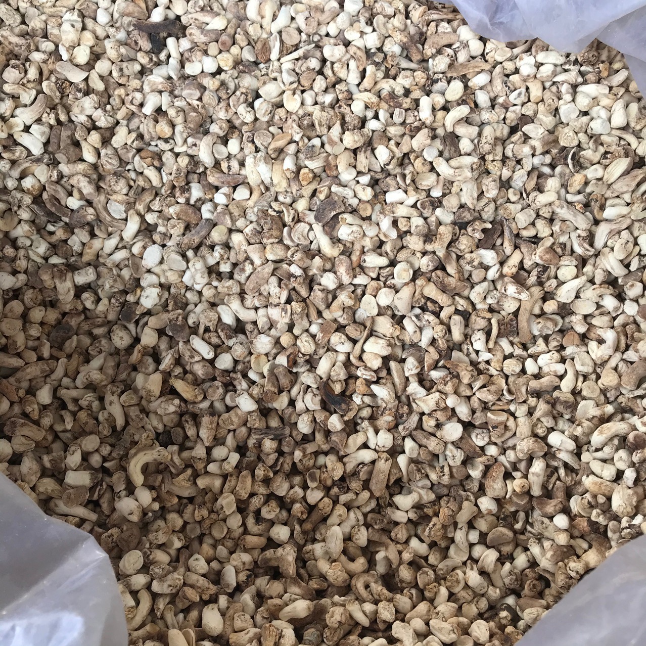 Xixia Shiitake Mushroom Feet Polished Miscellaneous Food Factory Filling Mushroom Agricultural Products Wholesale Market Everyday Supply