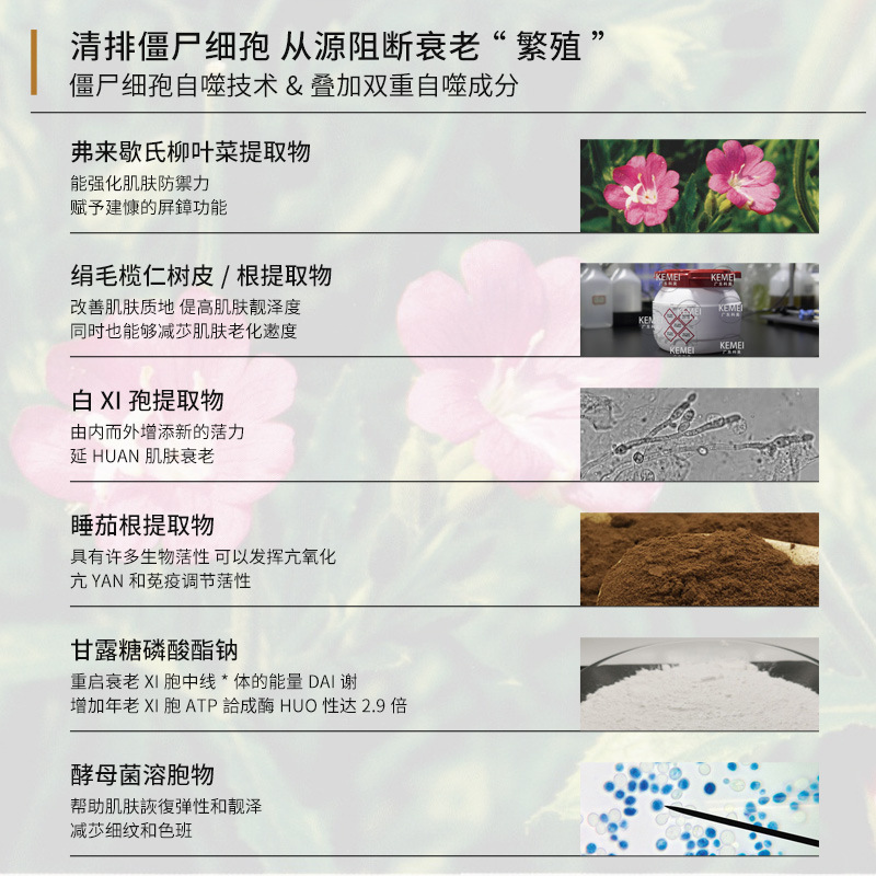 Fulci Freezing Age Liquid Second-Pulse Essence Processing Zombie Fine Clear Cell Collagen Anti-Wrinkle Sea Plant Extract