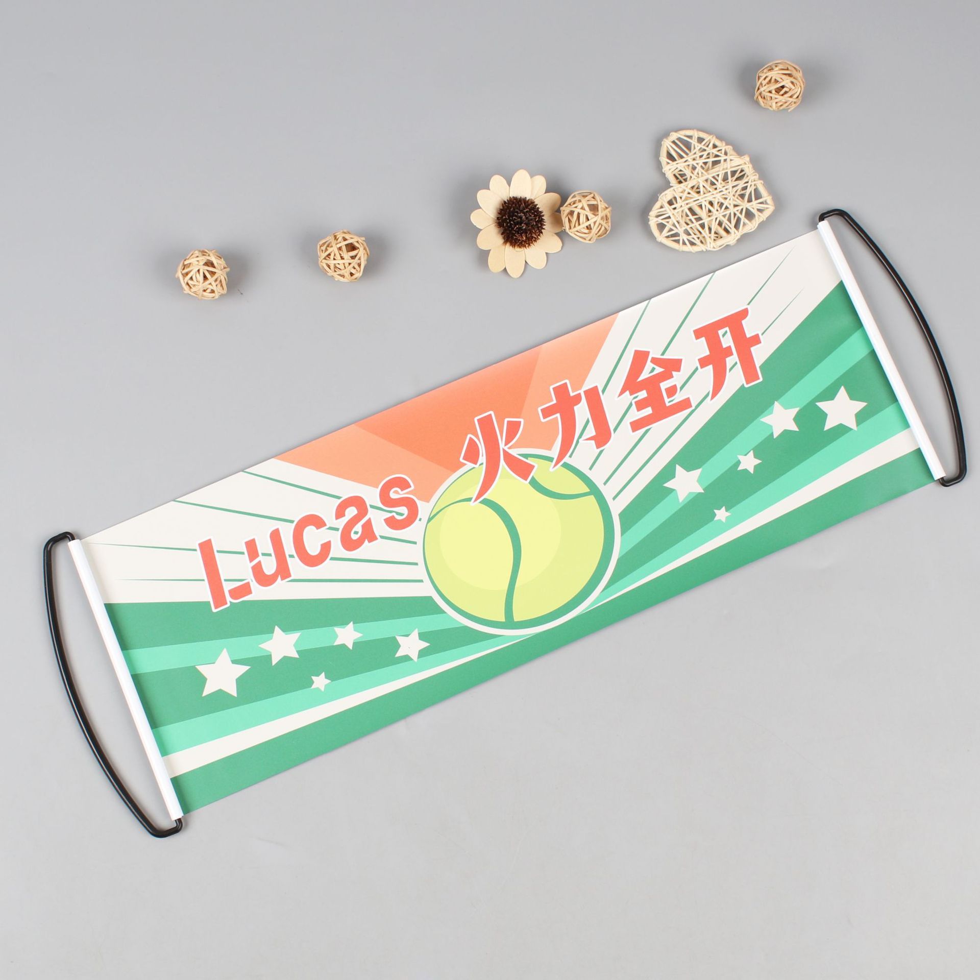 Manufacturer Customized Plastic Waterproof Retractable Hand-Pulled Flag Automatic Rolling Portable Telescopic Flag Advertising Banner Flag