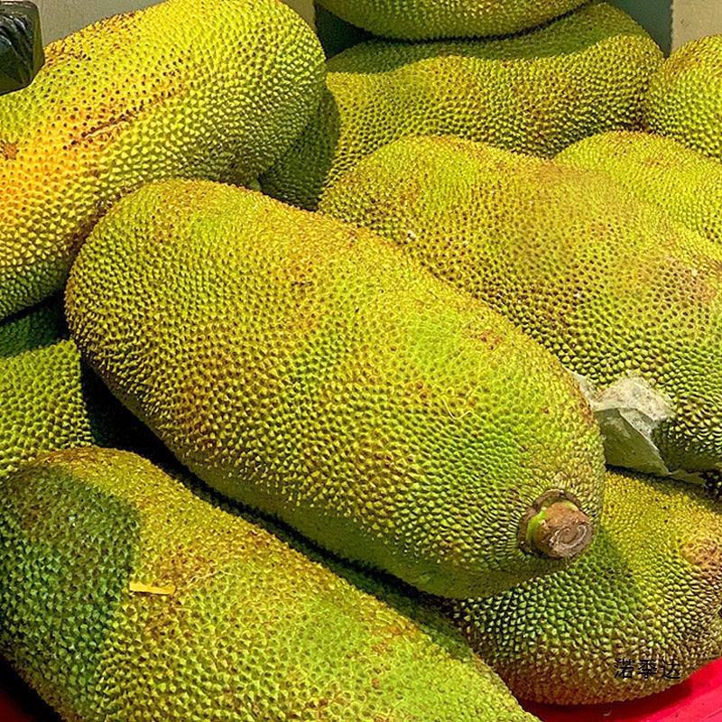 Spot Seasonal Hainan Sanya Jackfruit Fresh Fruit Yellow Flesh Jackfruit Fake Durian One Whole Free Shipping Red