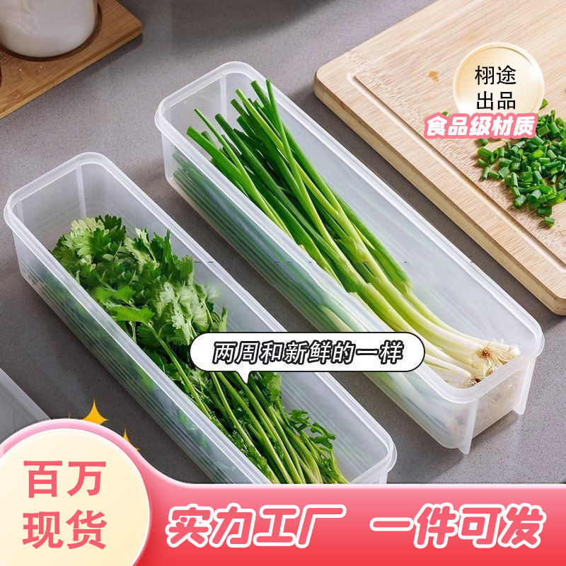 Food-Grade Cilantro Box, Green Onion Storage, Refrigerator Whole Root Thickened Noodle Box, Egg Prep Box, Sealed Box for Ingredients