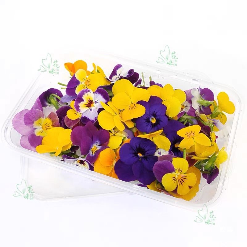 Fresh Pansy Edible Flowers, Hotel Western Food, Baked Drinks, Japanese Cold Dishes, Sashimi, Decorated with Plate Decorations