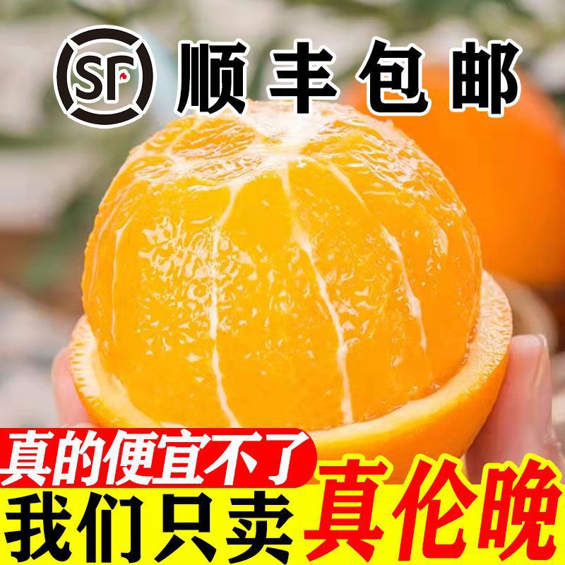 Sf Express Color Box Authentic Late Season Navel Oranges Fresh Sweet Navel Oranges Whole Box Wholesale Thin Skin One Piece Free Shipping