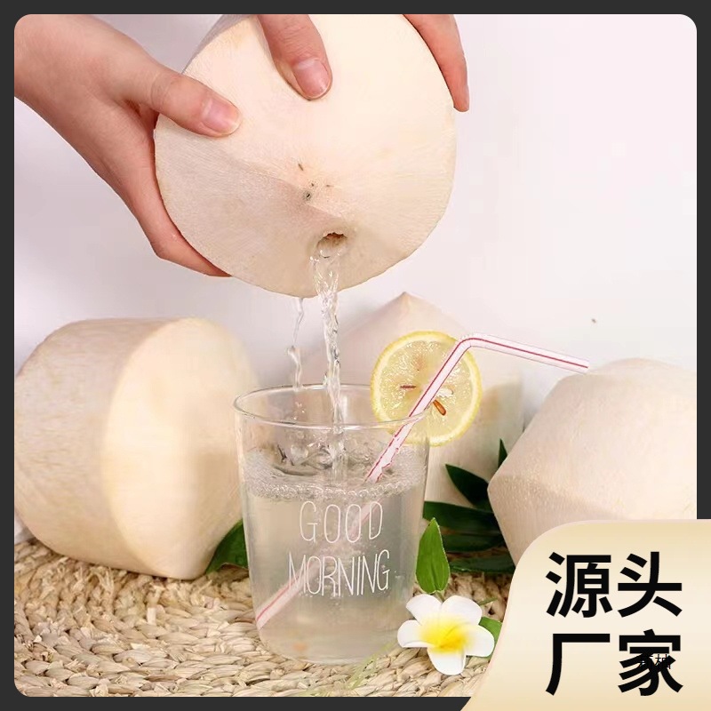 Ll Help Farmers Hainan Wenchang Coconut Green 9 Pack Fresh Coconut Pregnant Women Fruit Coconut Juice Meat Peeled Whole Box