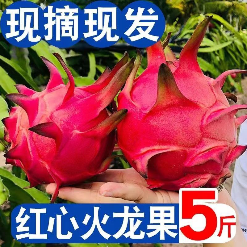 Свежесобранный и отправленный из Юньнани и Гуанси, красный драгон фрукт супер сладкий сезонный фрукт, 3/2.5кг в коробке