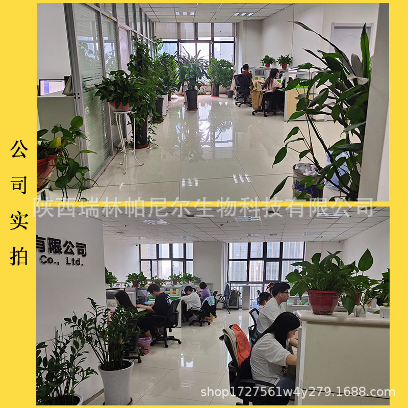 Shark Chondroitin 90% Shark Cartilage Extract Shark Chondroitin Sulfate in Stock