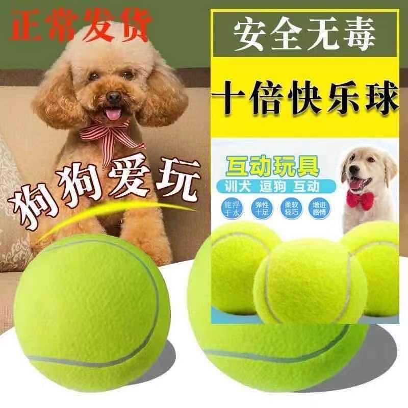Взрывная игрушка для собак, теннисный мяч, желтый, резиновый, для тренировки