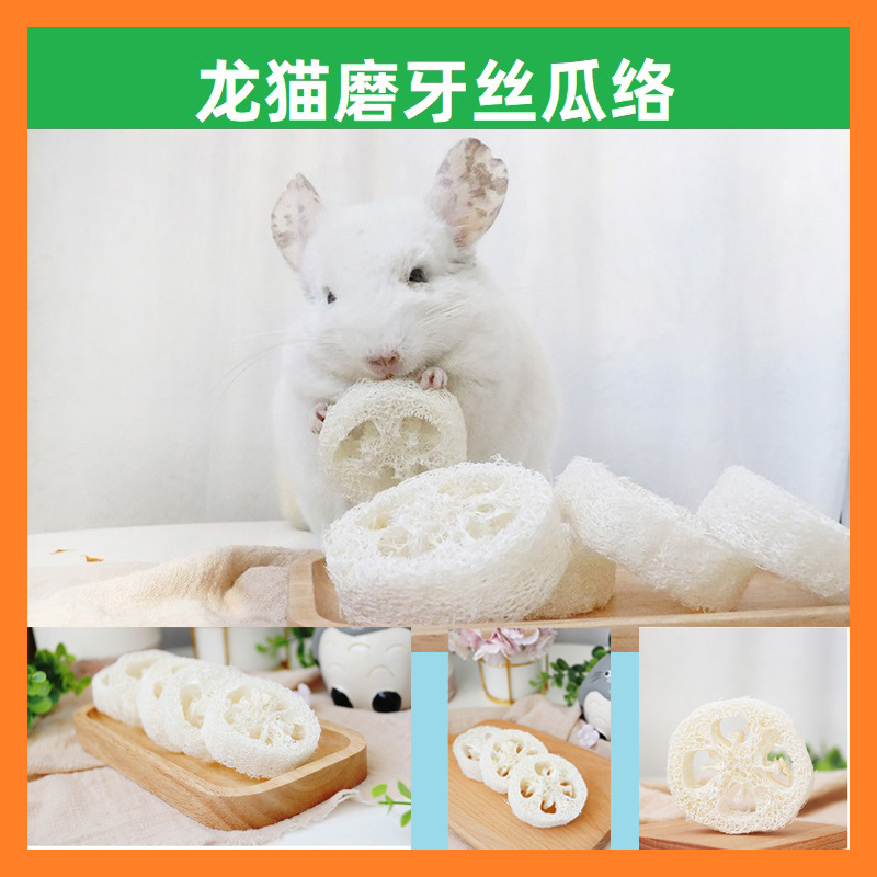 Totoro, Rabbit, Guinea Pig, Molar Loofah Snack Toy, Pet Bite-Resistant Loofah Toy to Clean Teeth