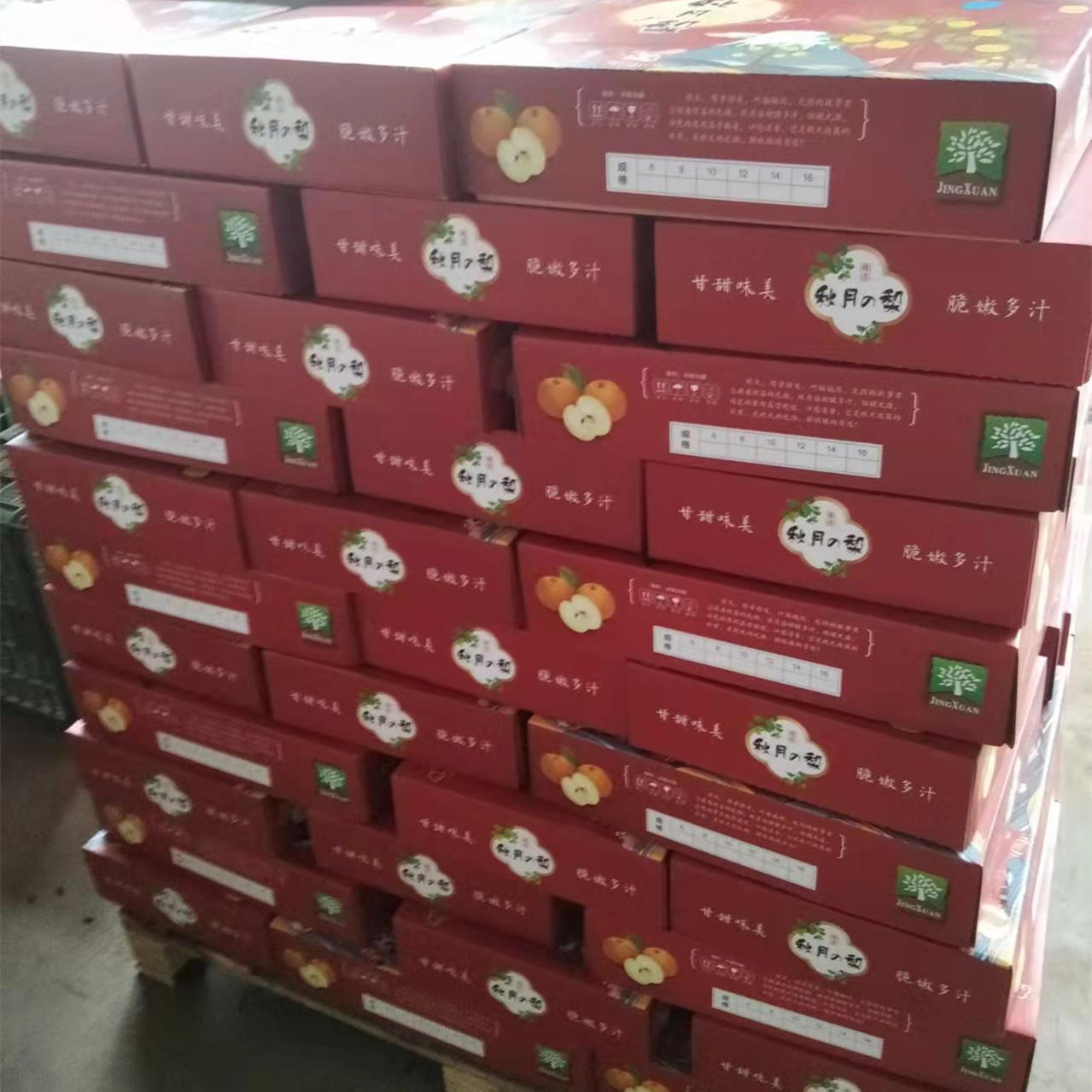 Shandong Laiyang Qiuyue Pear Gift Box 5/ 5kg Fresh Fruit Whole Box Rock Sugar Fengshui Pear Mid-Autumn Festival Gift Box