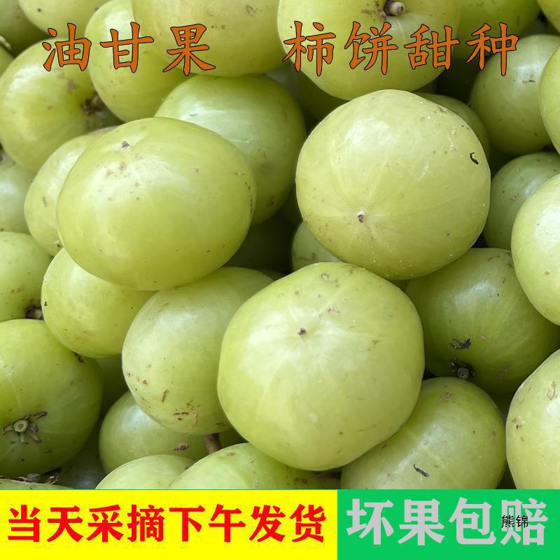 Fresh Persimmon Cakes from Chaoshan, Sweet Oil Fruit, Tangerine Fruit, Loquat Fruit, Fruit Cakes for Pregnant Women, Sweet and Nutritious Fruit