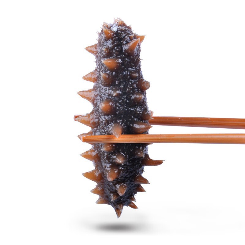 Sea Cucumber Manufacturer Wholesale Dalian Sea Cucumber Liao Sea Cucumber Ready-To-Eat Sea Cucumber Strong Taste Fresh Ready-To-Eat Sea Cucumber
