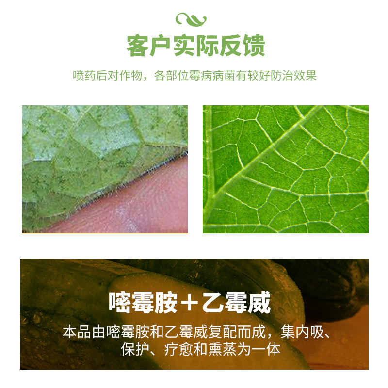 Taisheng Gray Mycophenolate Ethymicin 26% Cucumber Gray Mold Fungicide Pesticide Mycophenolate Ethymicin Vegetable Disease