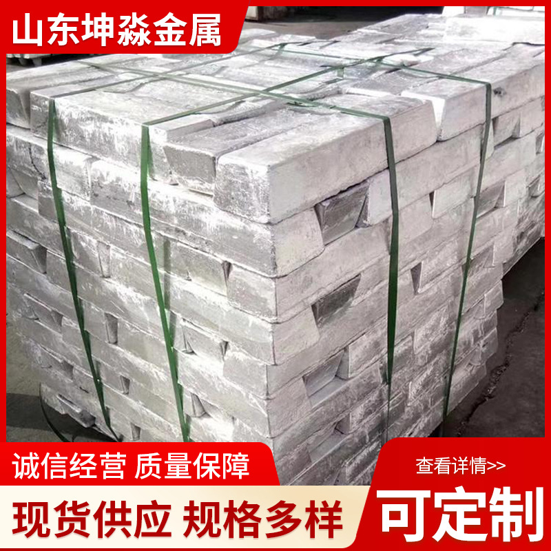 Magnesium Ingot 99.95 99.9 99.0 99.99 High Purity Magnesium Ingot Mg9995 No. 1 Magnesium Ingot 100g Small Magnesium Block