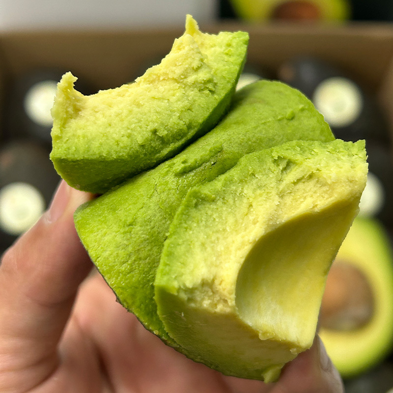 [Sf Air Freight] Peruvian Tree-Ripened Avocados Received Ready-To-Eat Seasonal Fresh Fruits 4 Pieces 6 Pieces Large Fruits
