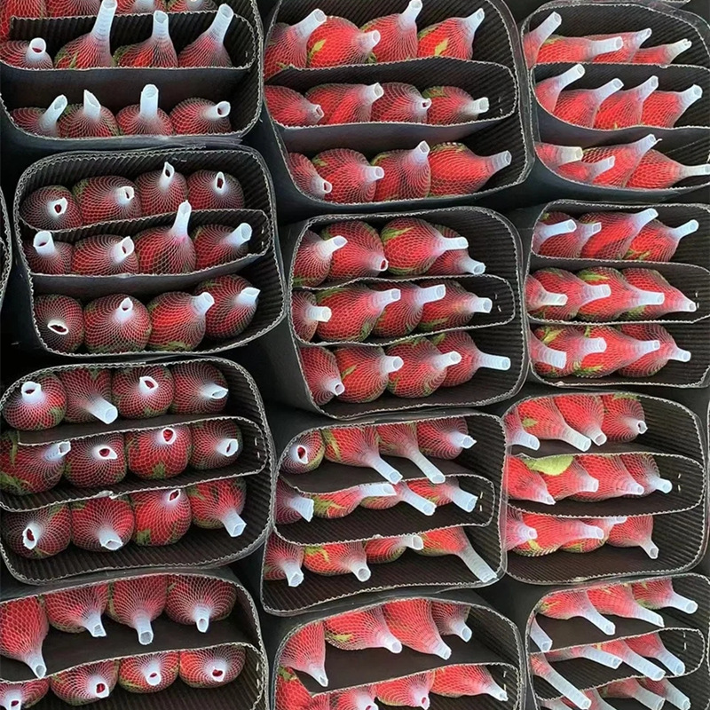 Rose wholesale rose flower wholesale Yunnan flower base direct batch fresh cut flower wedding flower shop stall group purchase