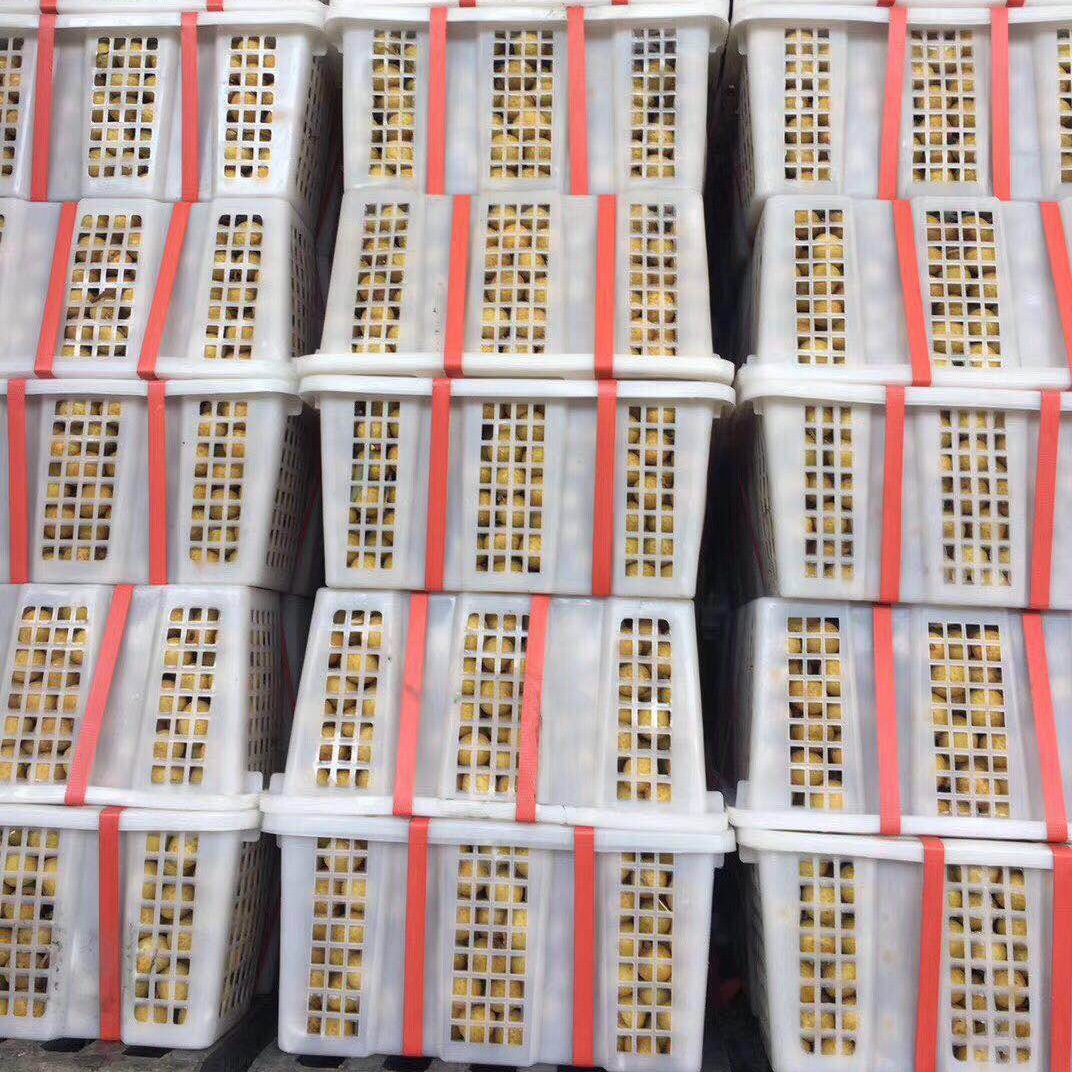 Fresh Imported Thai Longan Tropical Fruit for Pregnant Women, Small, Thin-Skinned, Seedless, Branch-Free Fresh Fruit