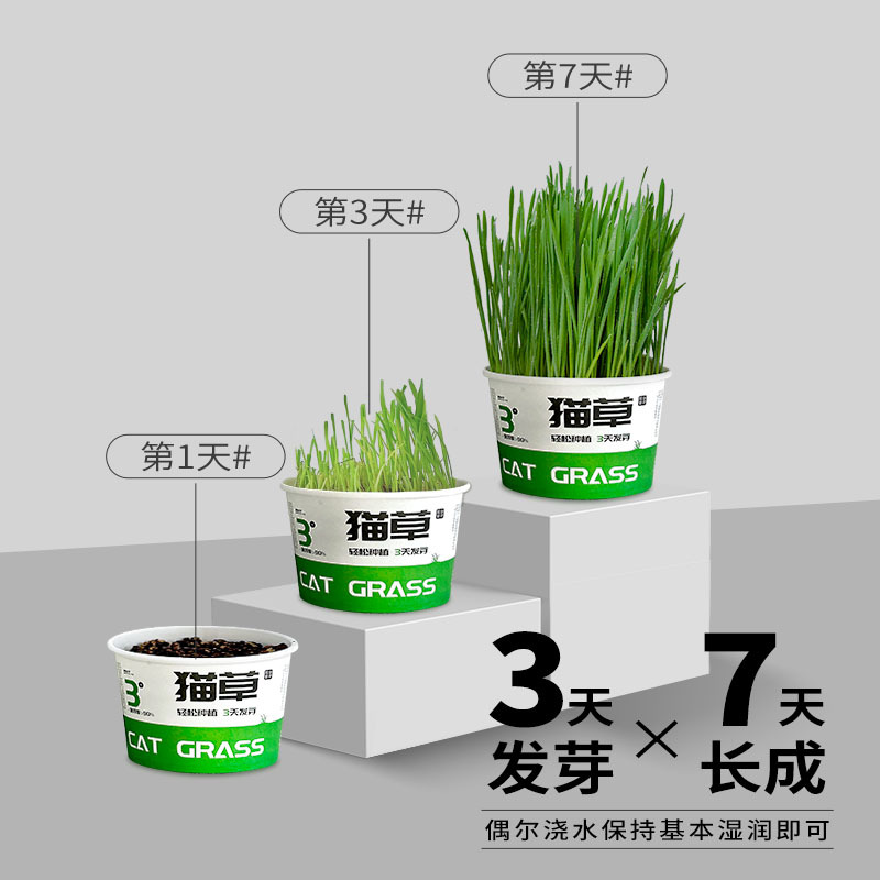 [Factory Original] Lazy Cat Grass Canned Hydroponic Soilless Hair Removal Ball to Help Digestion Snacks Instant Noodles Cat Grass Potted Plants