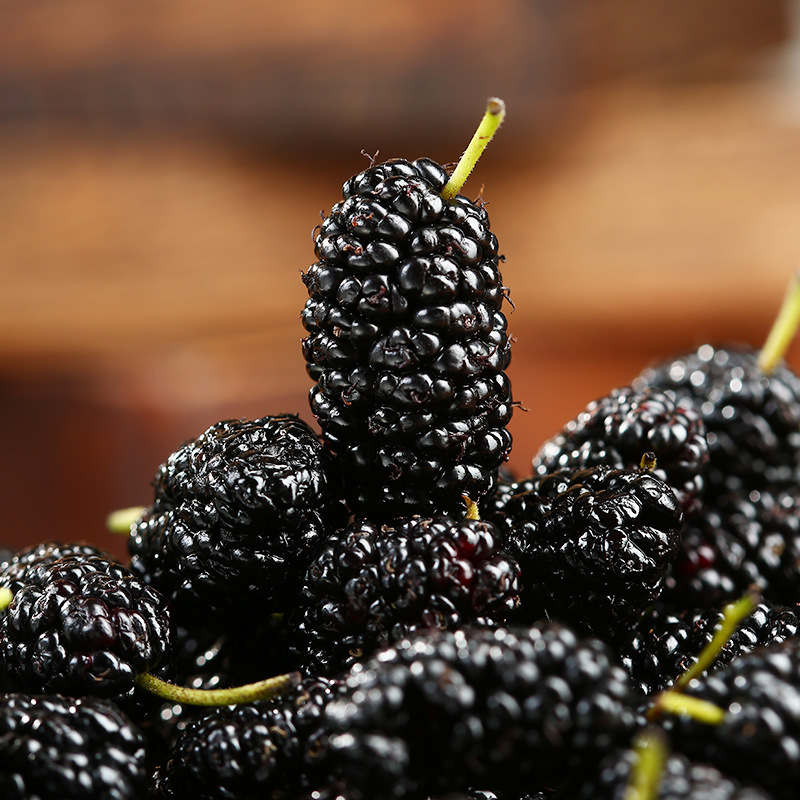 Loulan honey mulberry dried 225g Xinjiang sand-free clean mulberry non-special grade black mulberry dried to eat tea and make wine